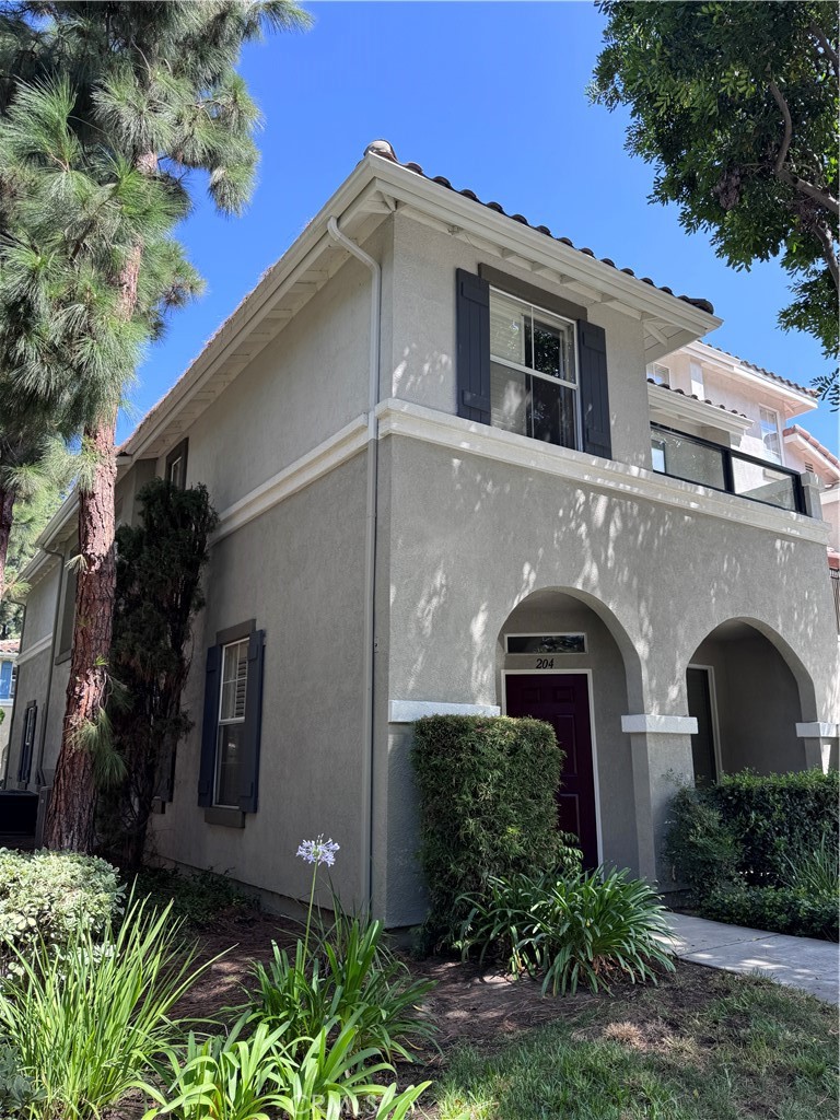 204 Falcon — photo