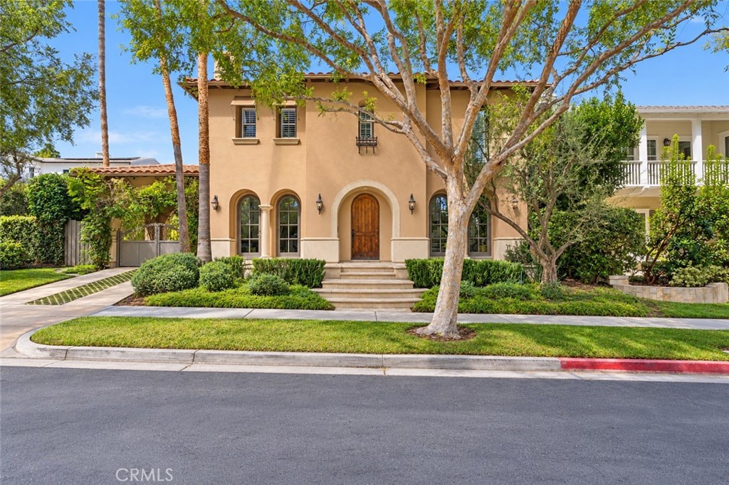 25 Peppertree — photo
