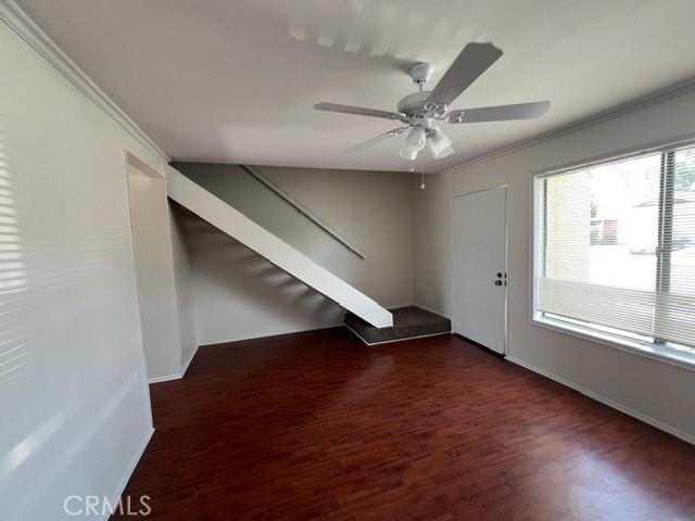 31 Meadowgrass — photo