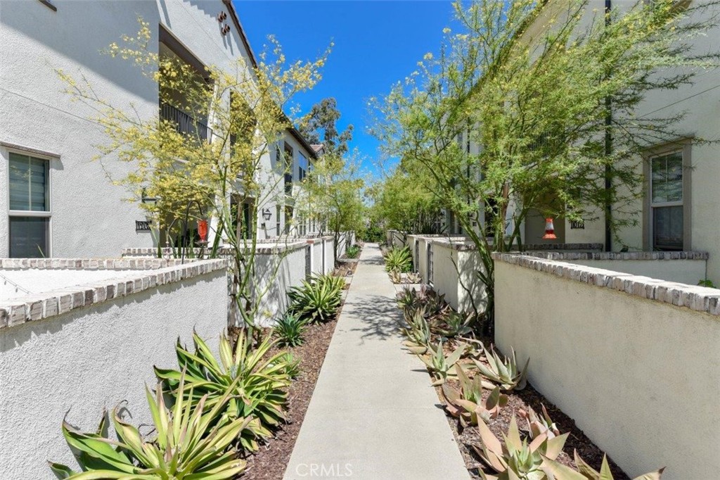 1012 El Paseo — photo