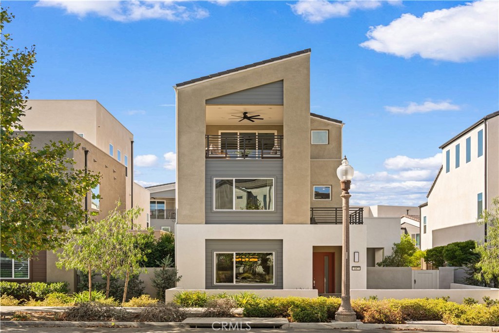 187 Sawbuck — photo