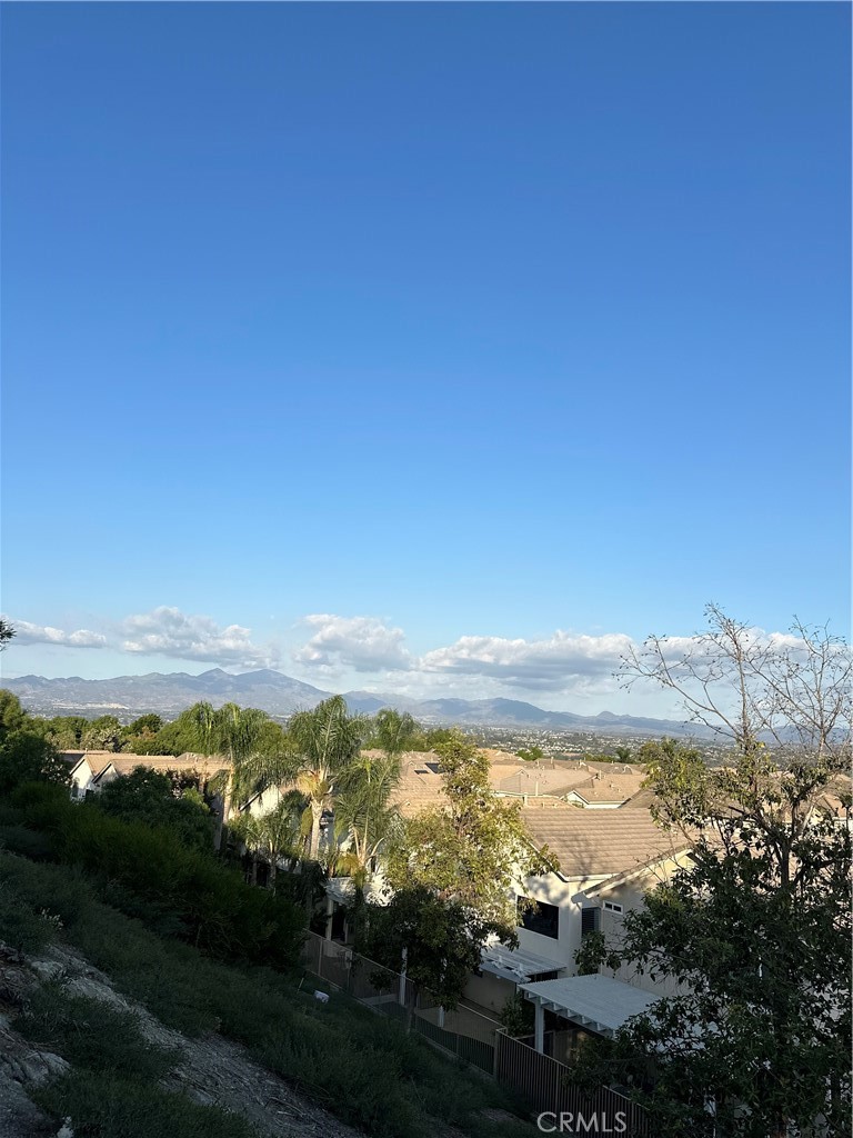 38 Sobrante — photo