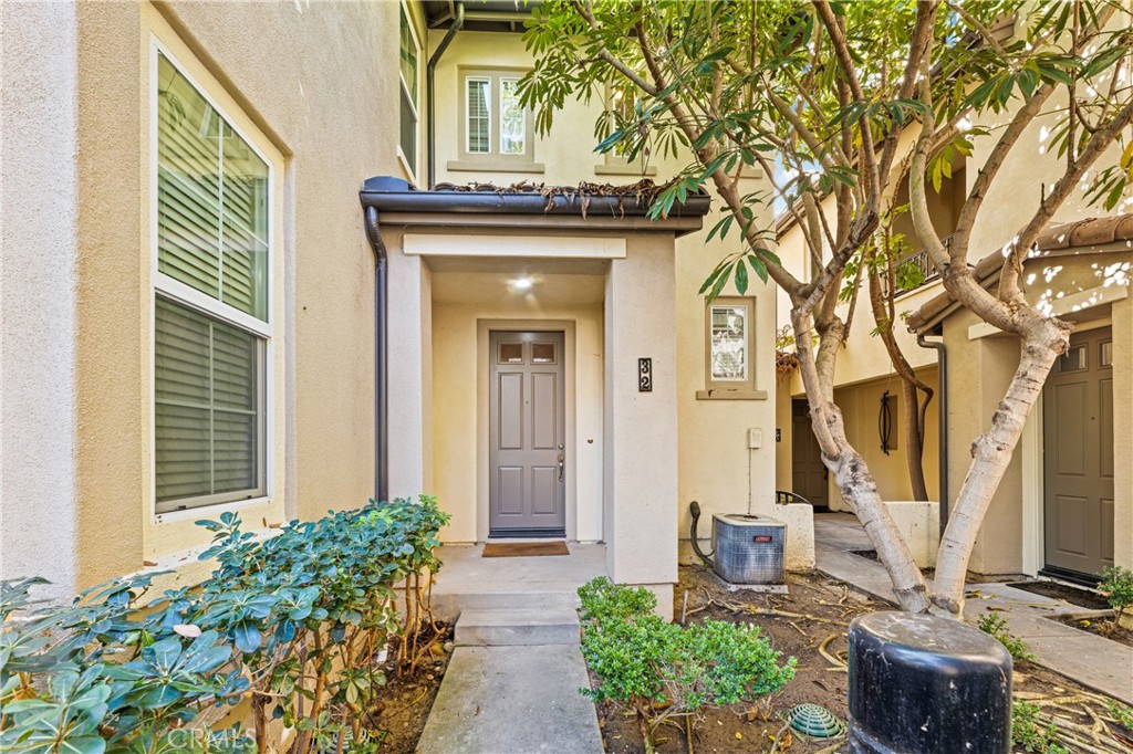 32 Perennial — photo