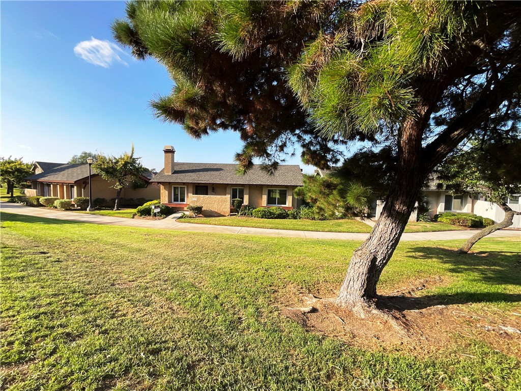 22975 Caminito Olivia 53 — photo