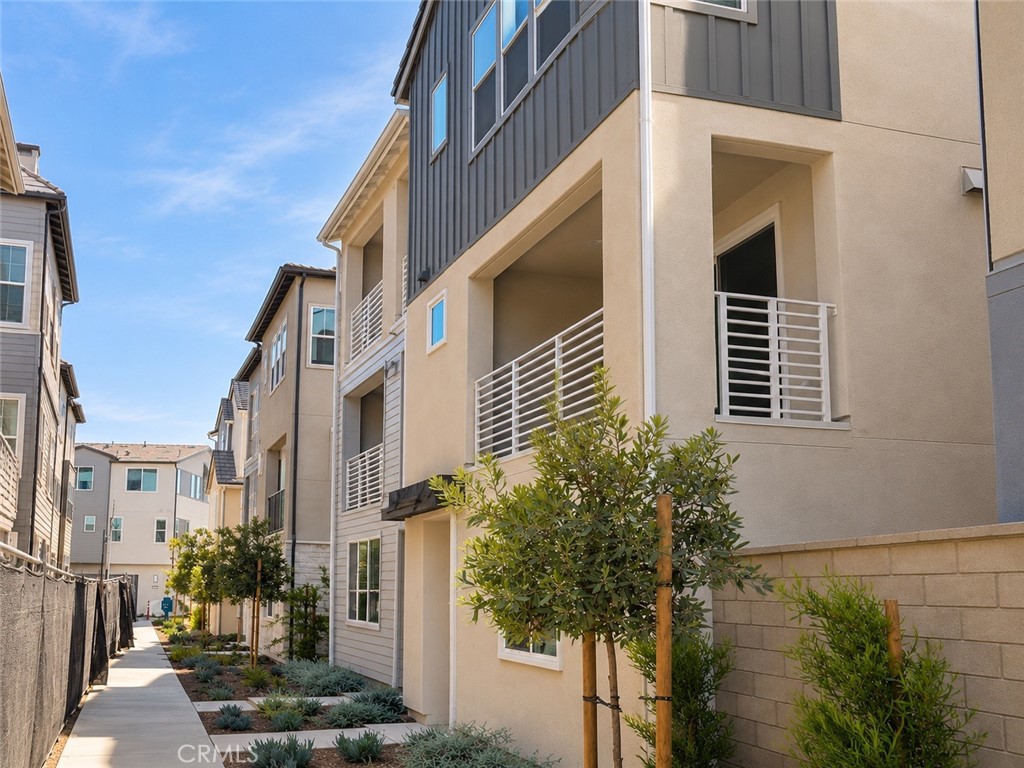 709 Sonia — photo