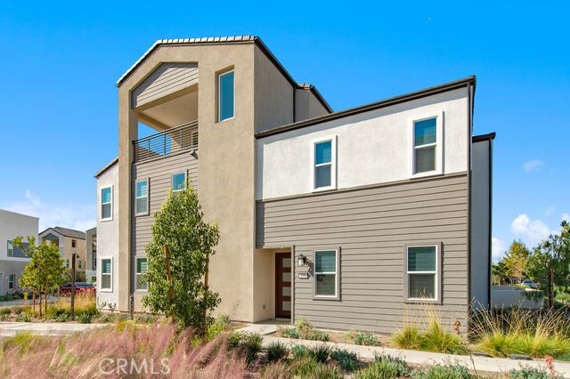 135 Sawbuck — photo