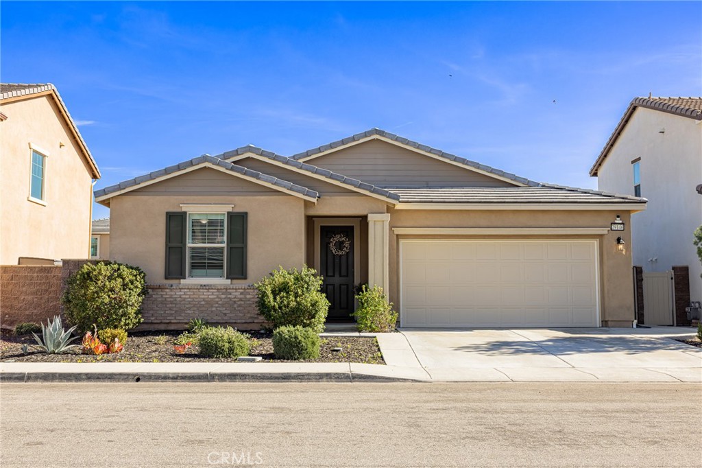 29146 Sunforest — photo