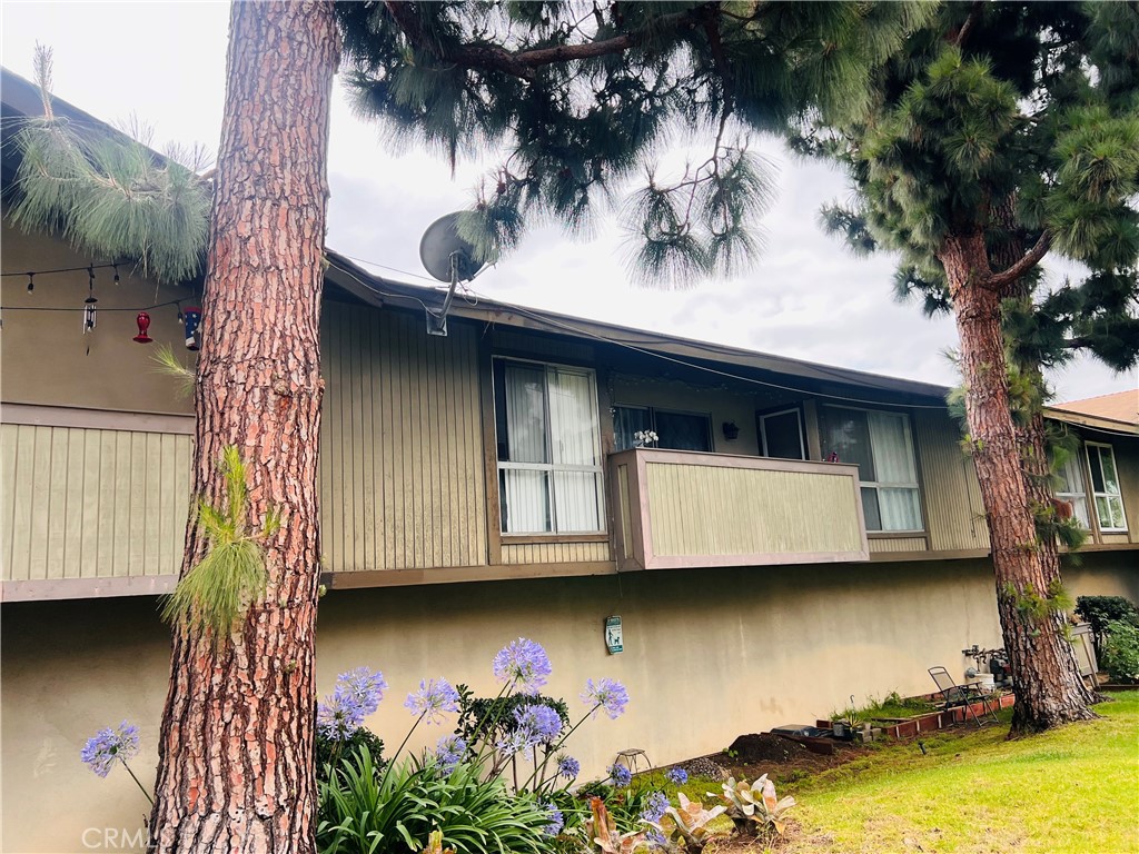 23240 Sesame C — photo