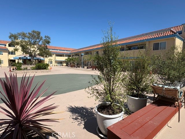 24410 Crenshaw 307 — photo