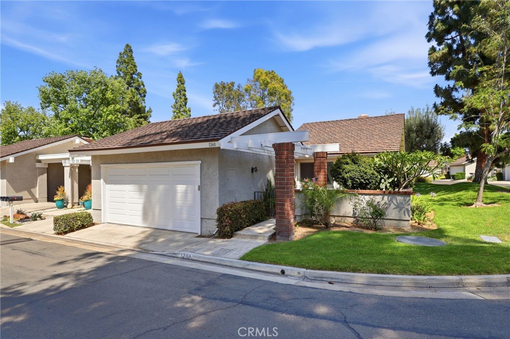 1260 Tiburon — photo
