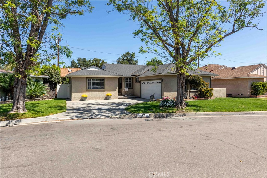 7811 Adoree — photo