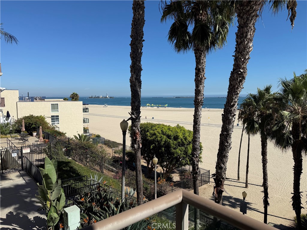 1000 E Ocean Boulevard 416 — photo