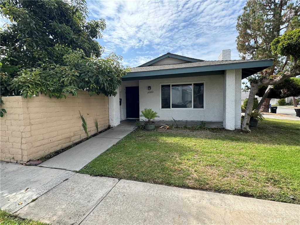 19302 Teresa — photo