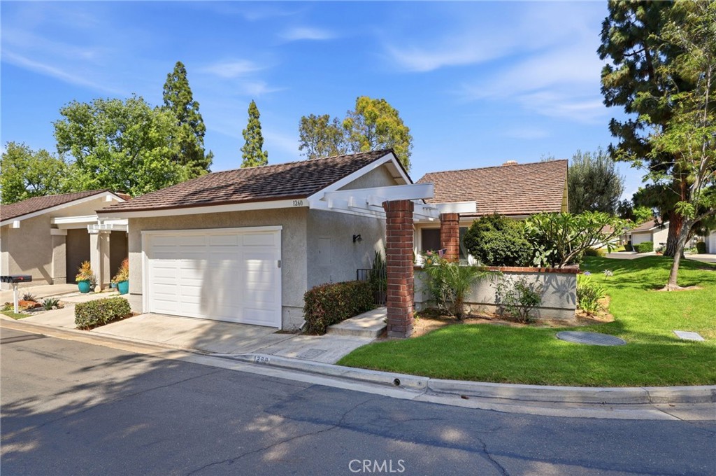 1260 Tiburon — photo