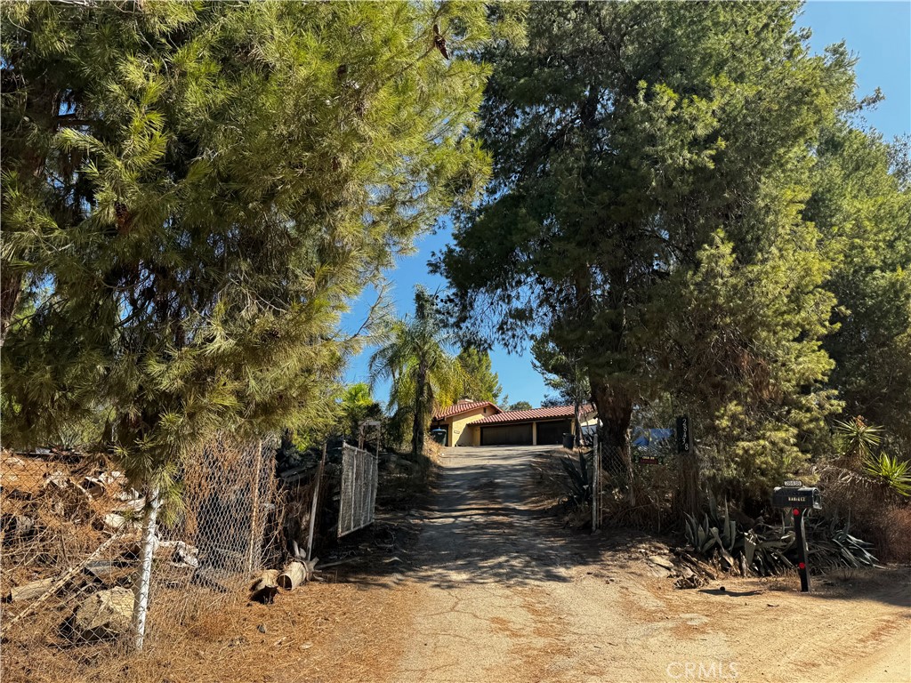 28438 Cepin Drive — photo