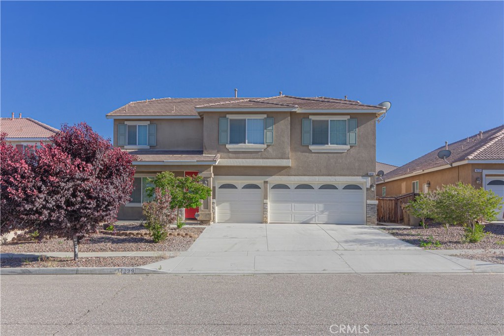 14239 Larkspur — photo