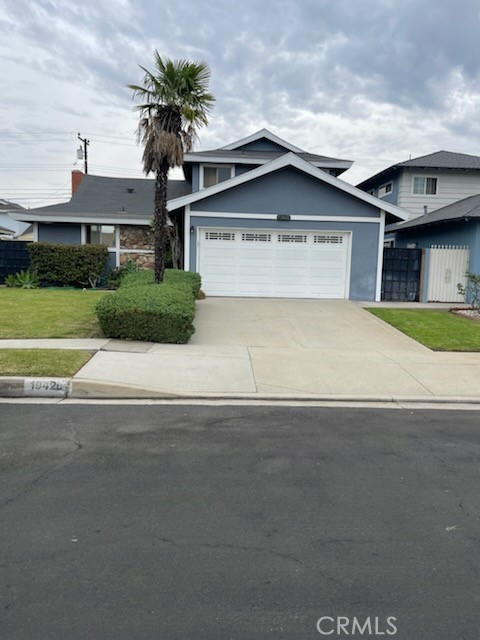 19426 Belshaw — photo