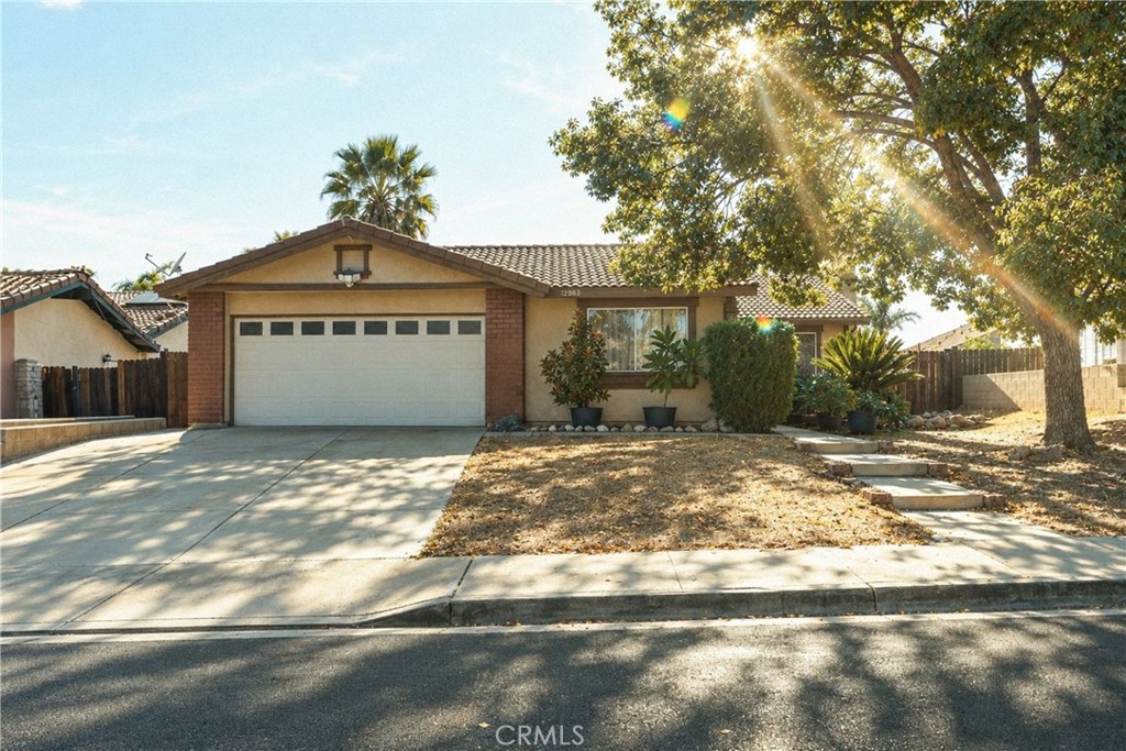 12863 Ninebark — photo