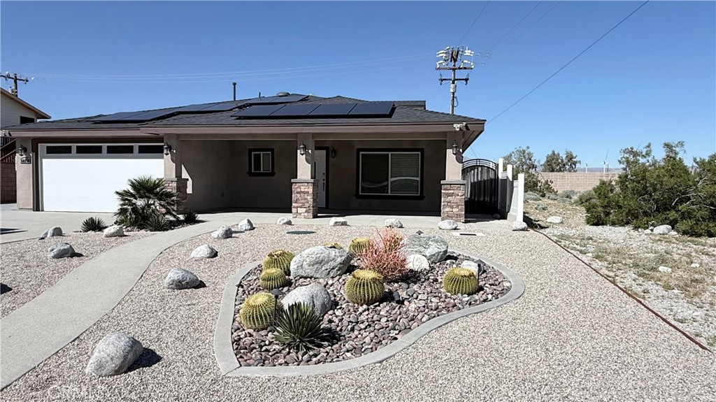 60242 Palm Oasis — photo