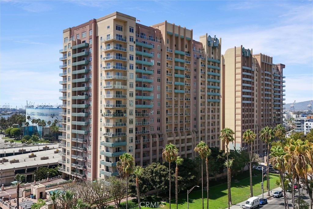 488 E Ocean Boulevard 804 — photo