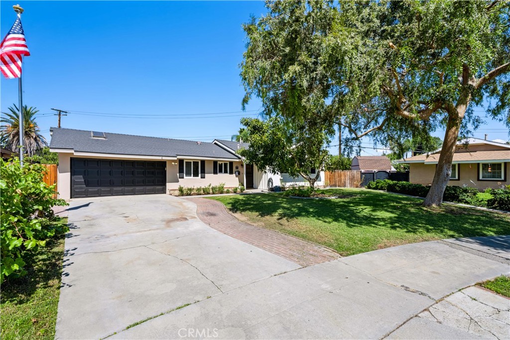 6623 Evelyn — photo