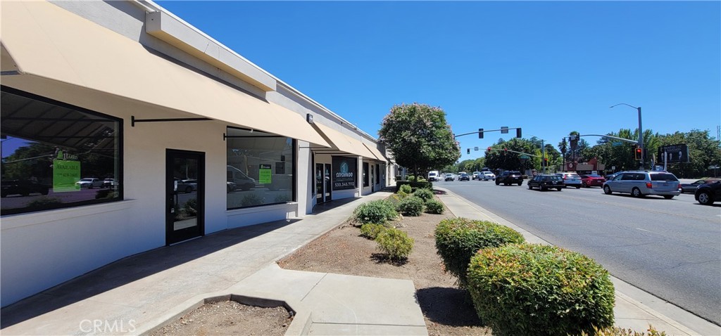 1108 Mangrove Avenue — photo