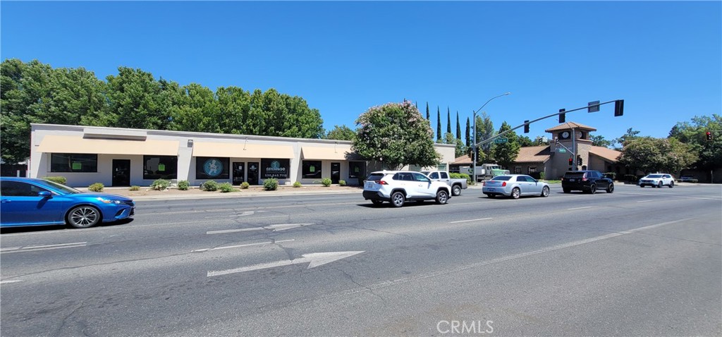 1114 Mangrove Avenue — photo