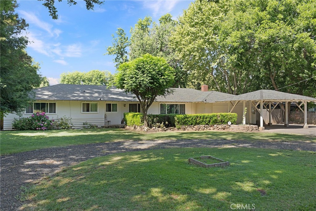1915 Manzanita — photo