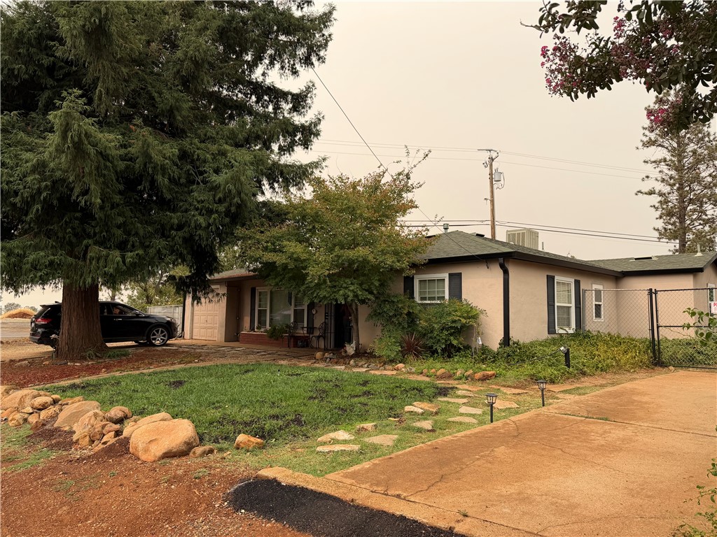 51 Roe — photo