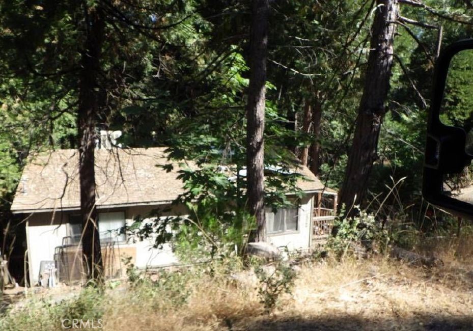 17166 Smokey River — photo