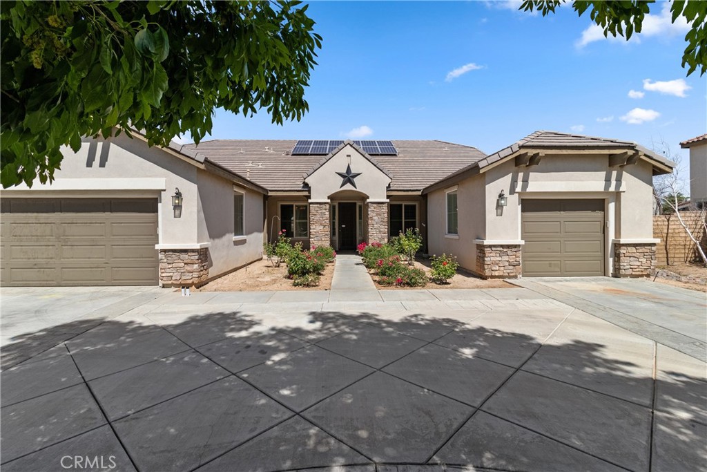 41530 Yew — photo