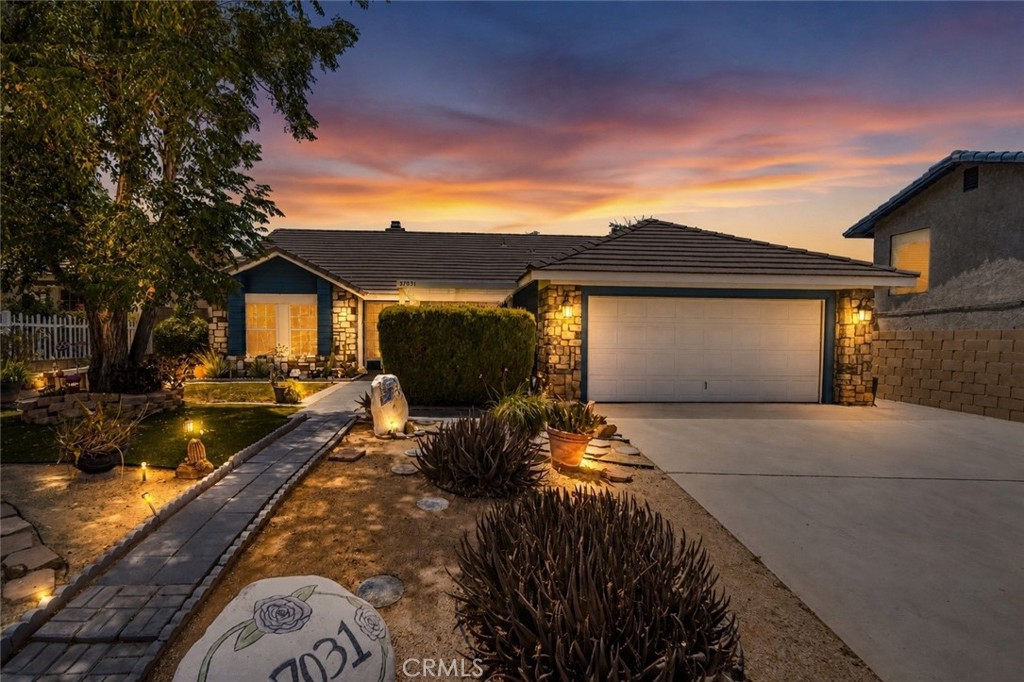 37031 La Contempo — photo