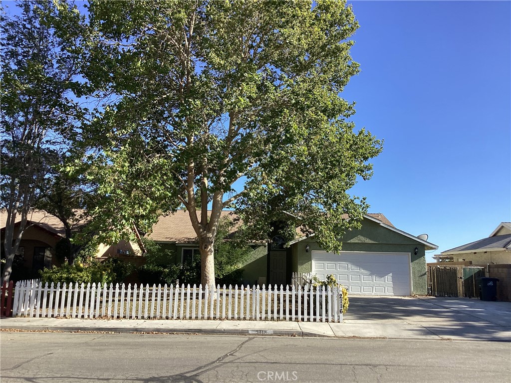 2116 Phlox — photo
