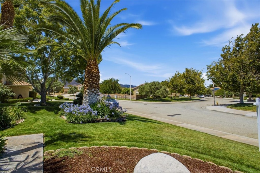 41066 Rimfield Drive — photo