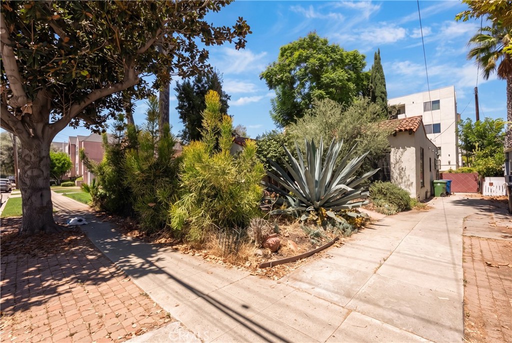 11209 La Maida — photo