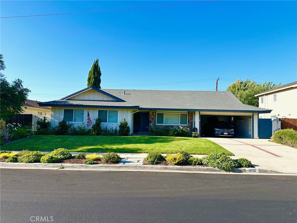 1895 Dorrit — photo