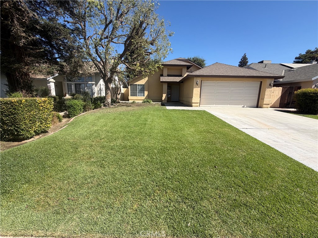 6504 Quaking Aspen — photo