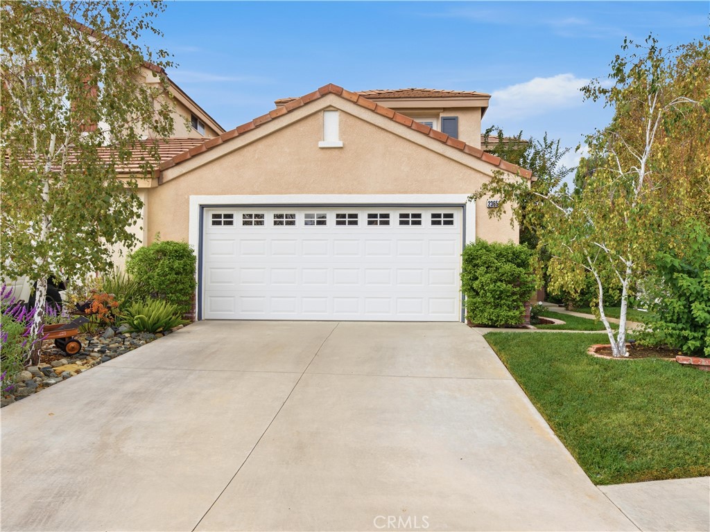 23653 Silverhawk — photo