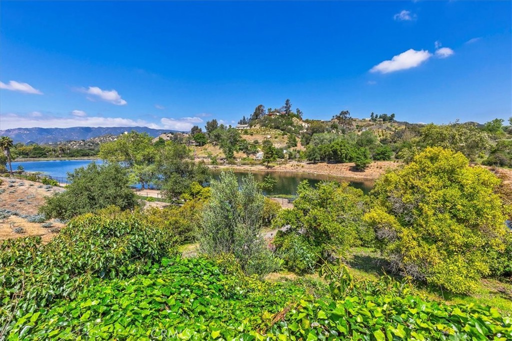 40057 S Shore Road, Fallbrook, CA 92028 — photo 3