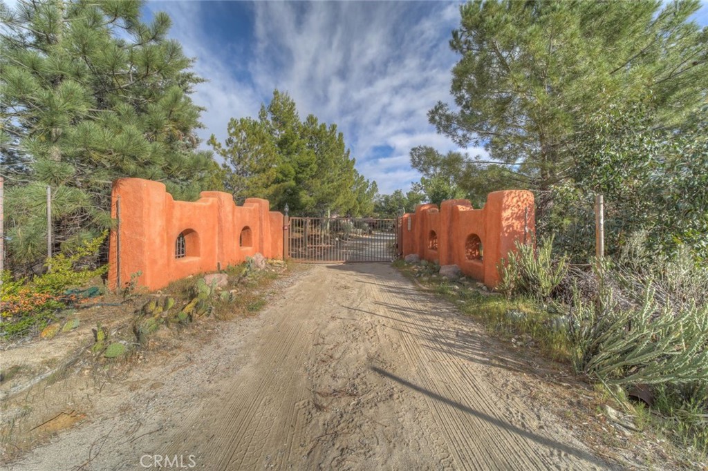 37440 Old Forest — photo