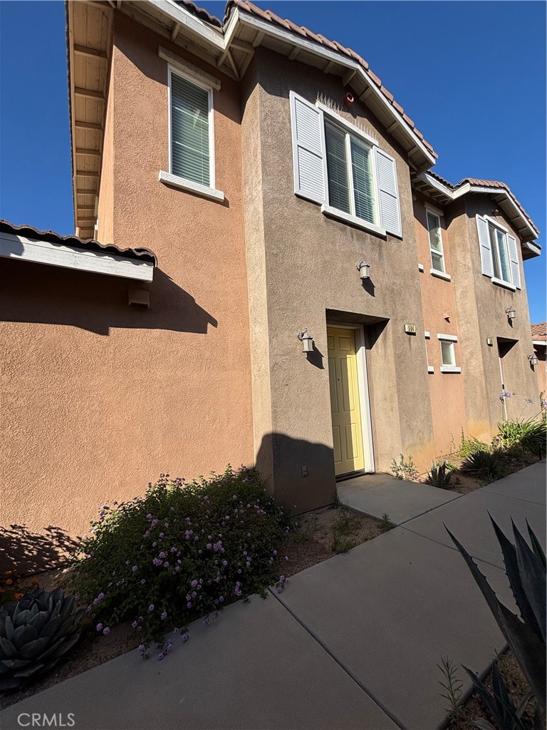 824 Coriander 504 — photo