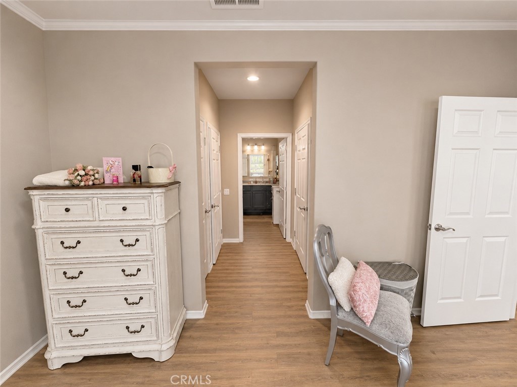 824 Coriander 502 — photo