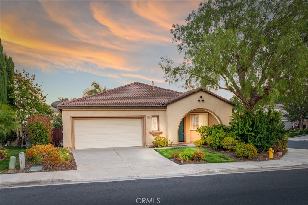 32937 Cesena — photo