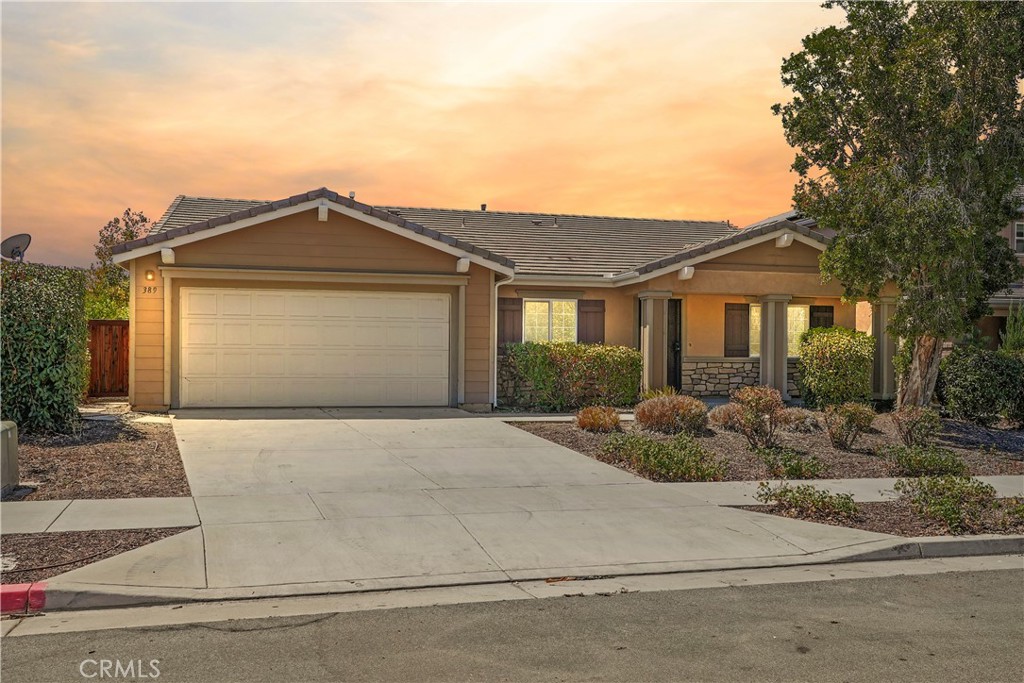 389 Suncup — photo