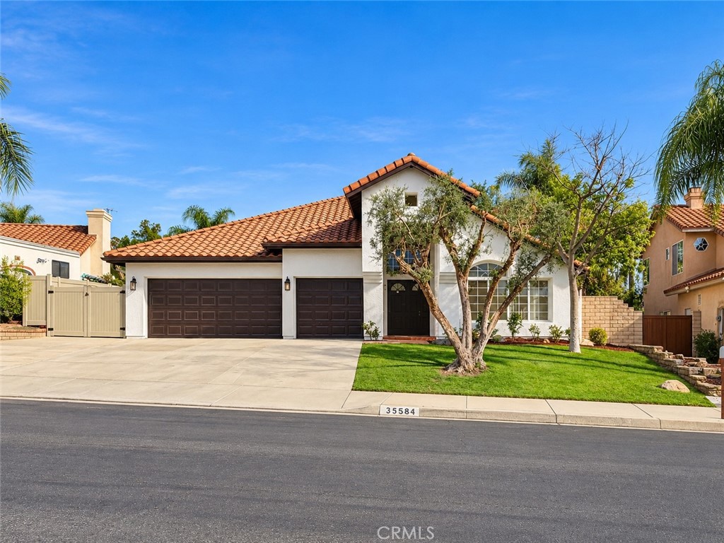 35584 Larkspur — photo