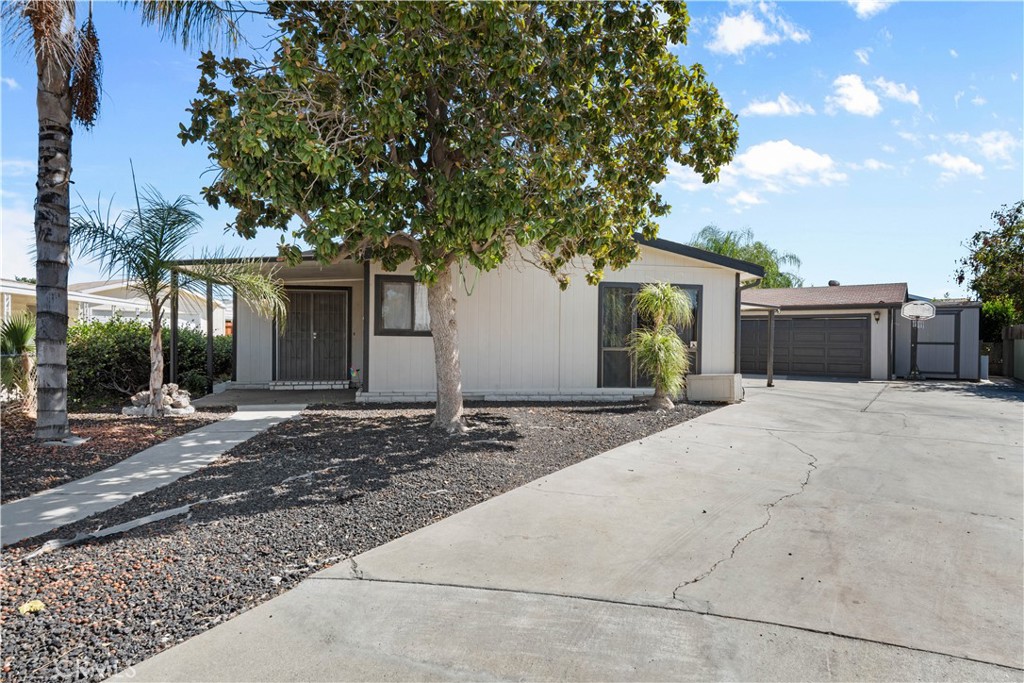 43353 Hillson — photo