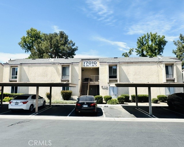 17010 Colima 29 — photo