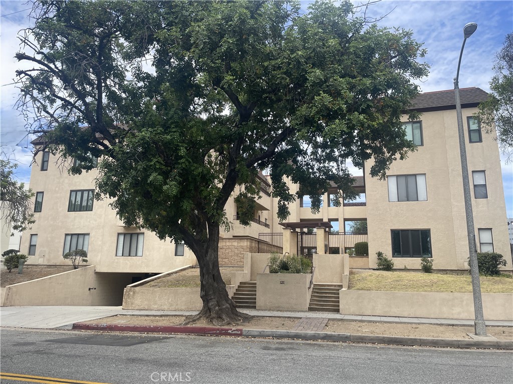 121 S Wilson 103 — photo