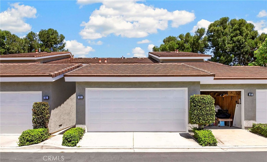 93 Goldenrod — photo