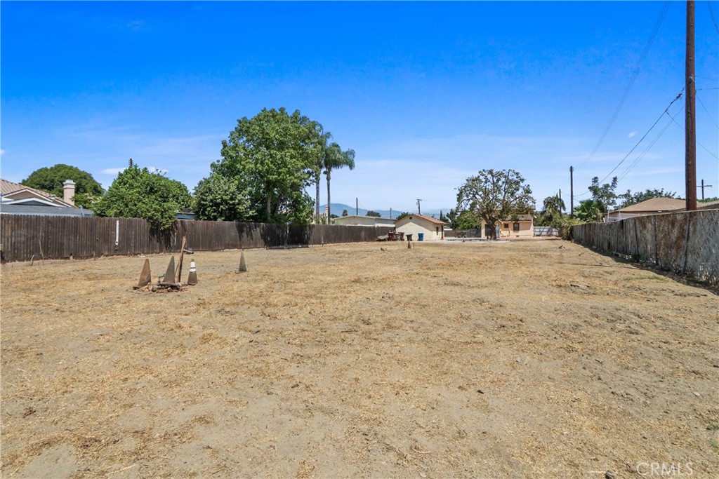12404 Poinsettia — photo